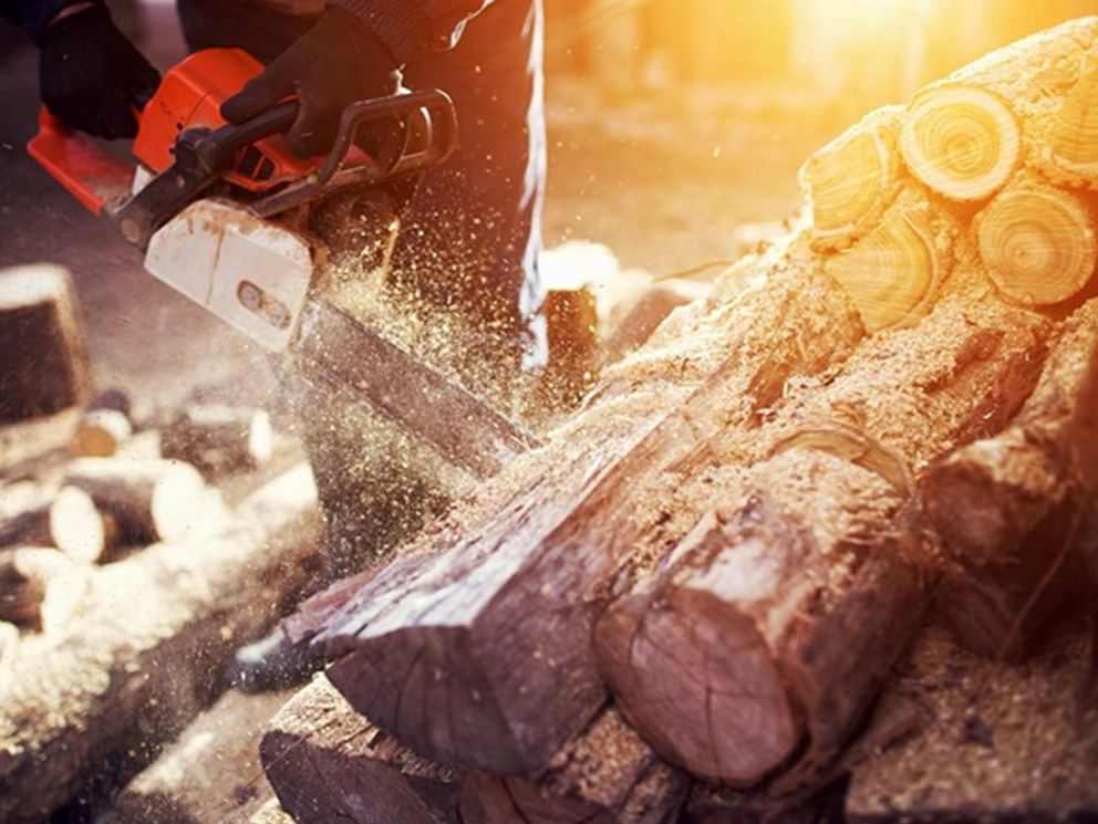 Gateway to Africa’s timber trade under one roof 1