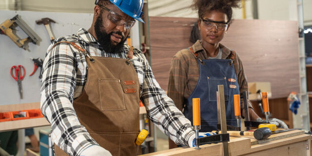 The South African Furniture Initiative (SAFI)